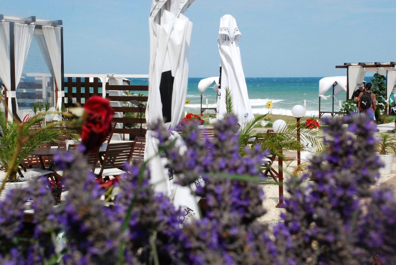 Hotel Casa Ok By Ovo Vama Veche Exterior foto
