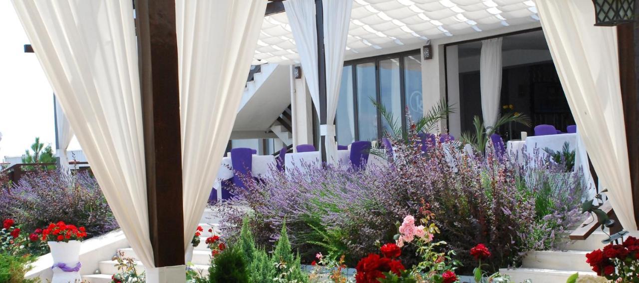 Hotel Casa Ok By Ovo Vama Veche Exterior foto